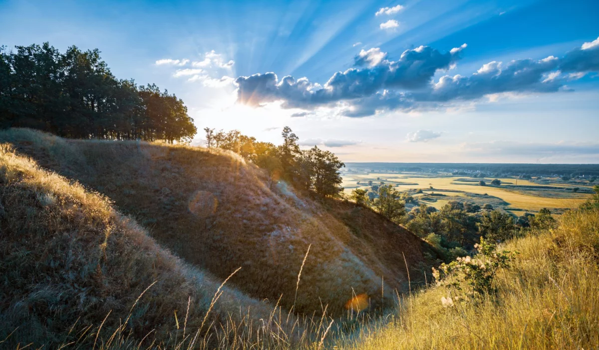Wartość tego jak  podróżować w 2025