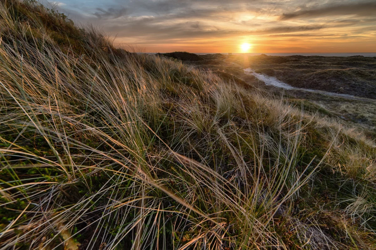 Kto potrzebuje kupić oprogramowanie?