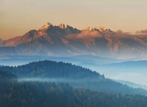 Czy opłaca się zmienić prawo?