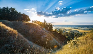 8 Wskazówek Aby złożyć sprawozdanie BDO