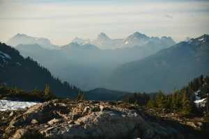 Co dają panele fotowoltaiczne